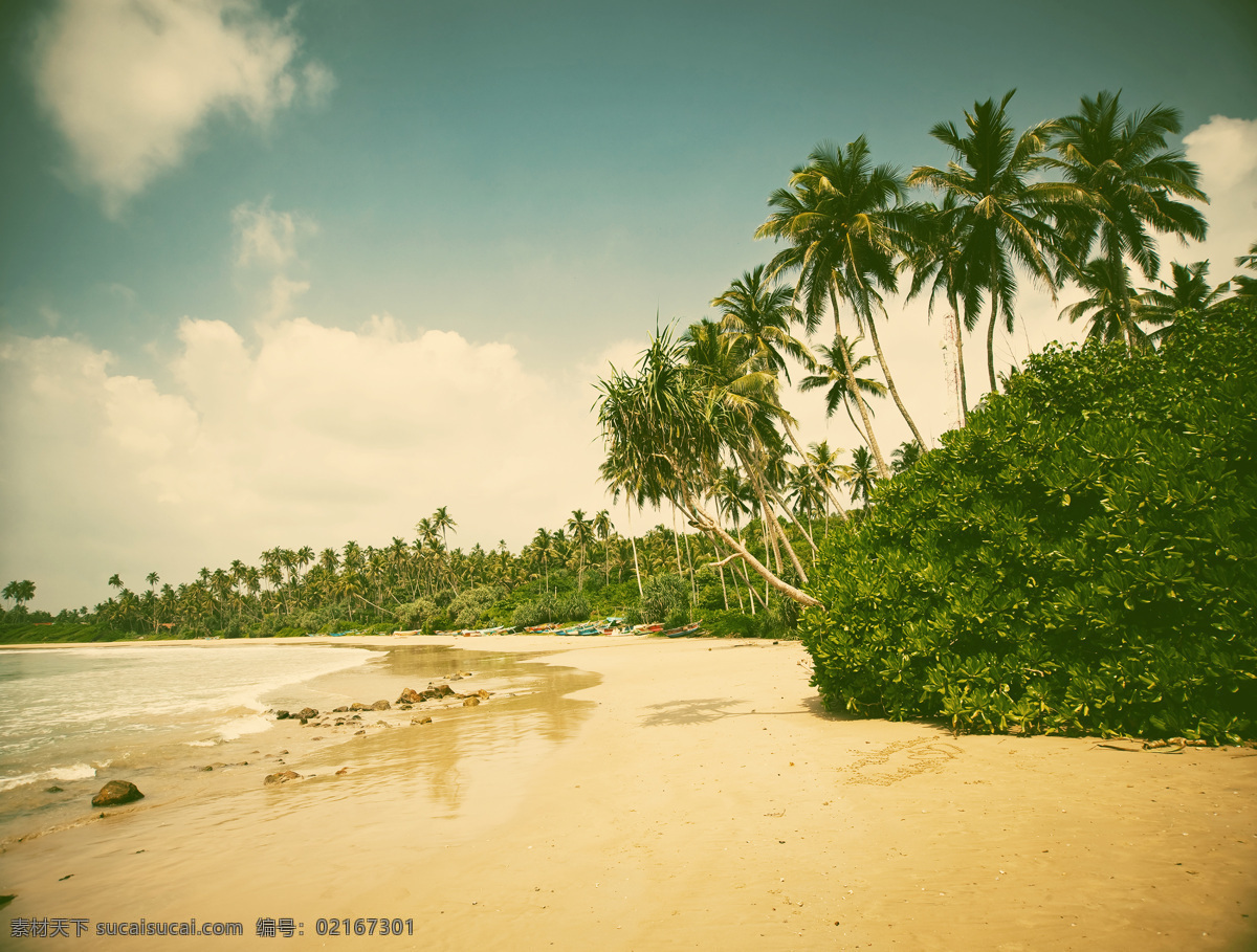 沙滩 椰树 风景 海滩 海岸风景 大海 海洋风景 海平面 美丽风景 风景摄影 美丽风光 自然美景 美丽景色 大海图片 风景图片