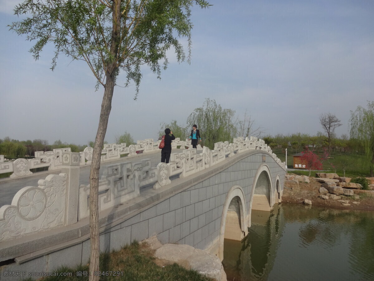 山东省 济宁市 汶上县 湿地公园 风景 旅游摄影 自然风景
