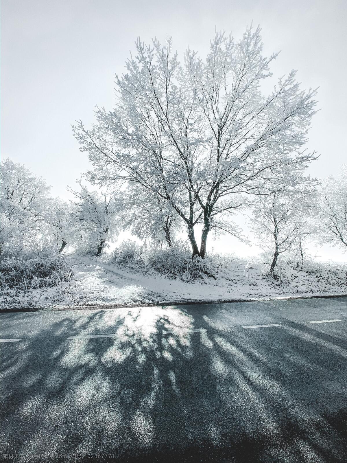 冻住的树 雪白 雪花 雪树 冰冷 冬天 黑白 高清 壁纸 超清 自然景观 自然风景