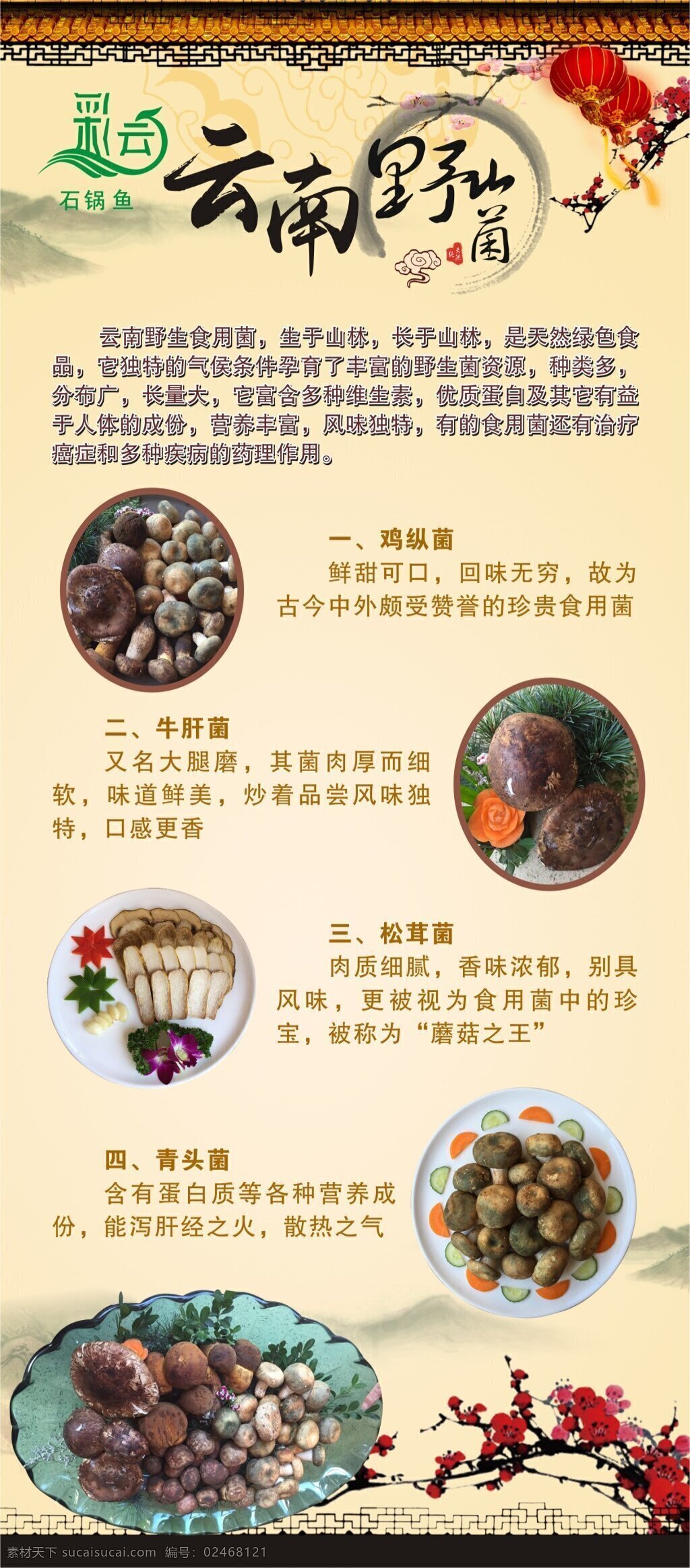 云南野山菌 x展架 绿色食品 蘑菇 彩云石锅鱼 企业简介 矢量 野生菌 展架 中国 风 模板下载 菌子 云南