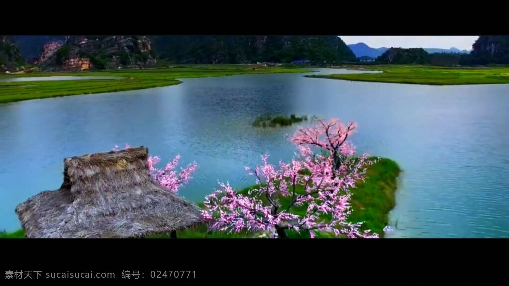 自然风景视频 风景 人物 荷花 桃花 山水 视频