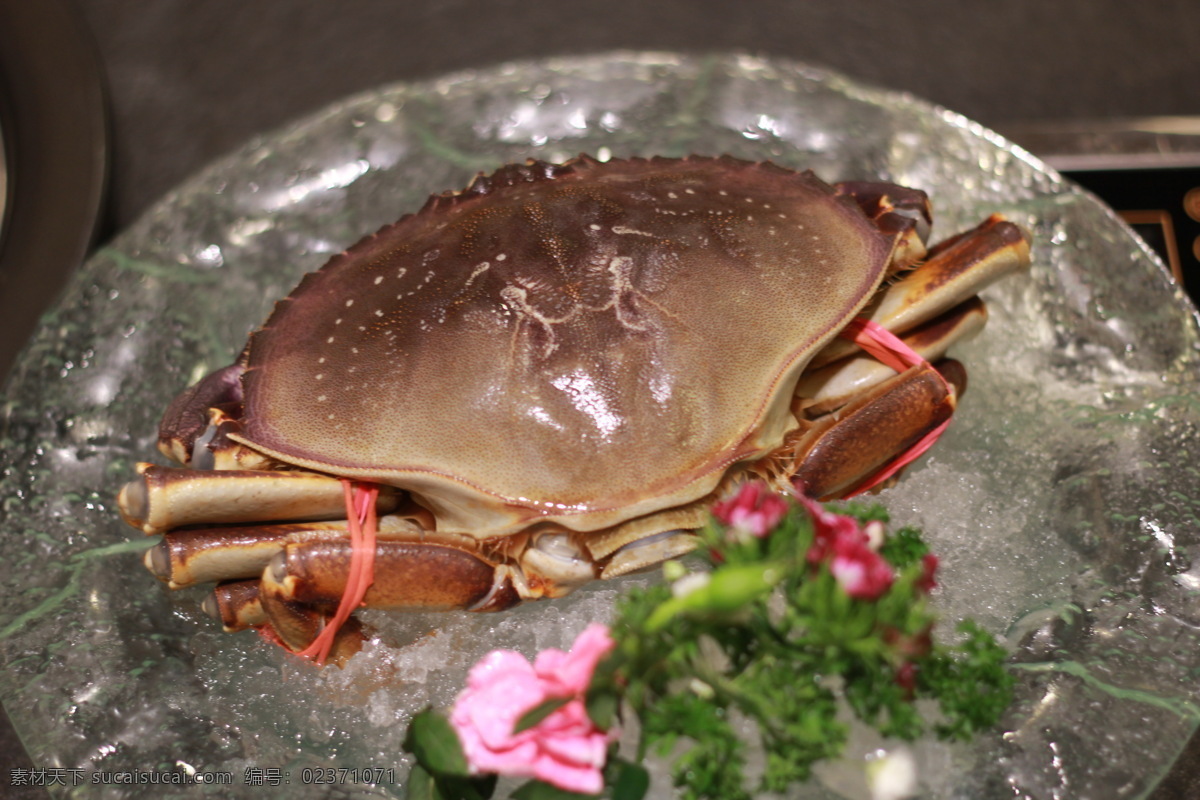 美国珍宝蟹 珍宝蟹 dungeness crab 元宝蟹 馒头蟹 餐饮美食 传统美食