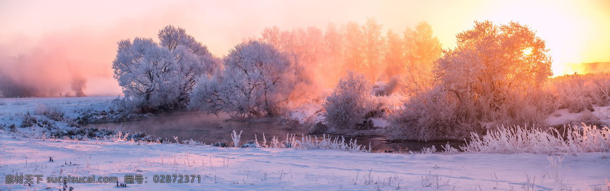 梦幻 夕阳 森林 背景 唯美 雪地 淘宝 全屏 banner