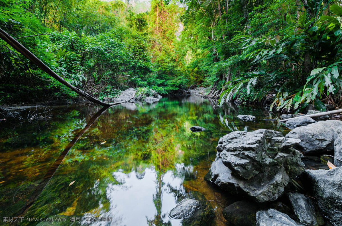 小溪 风景摄影 小溪风景 美丽风景 美丽风光 自然美景 美丽景色 山水风景 风景图片