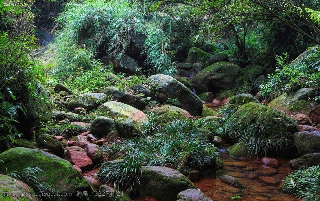 佛光岩 五柱峰景区 贵州赤水 世界自然遗产 丹霞地貌 岩石 水流 绿树 自然景观 自助游 国内旅游 旅游摄影