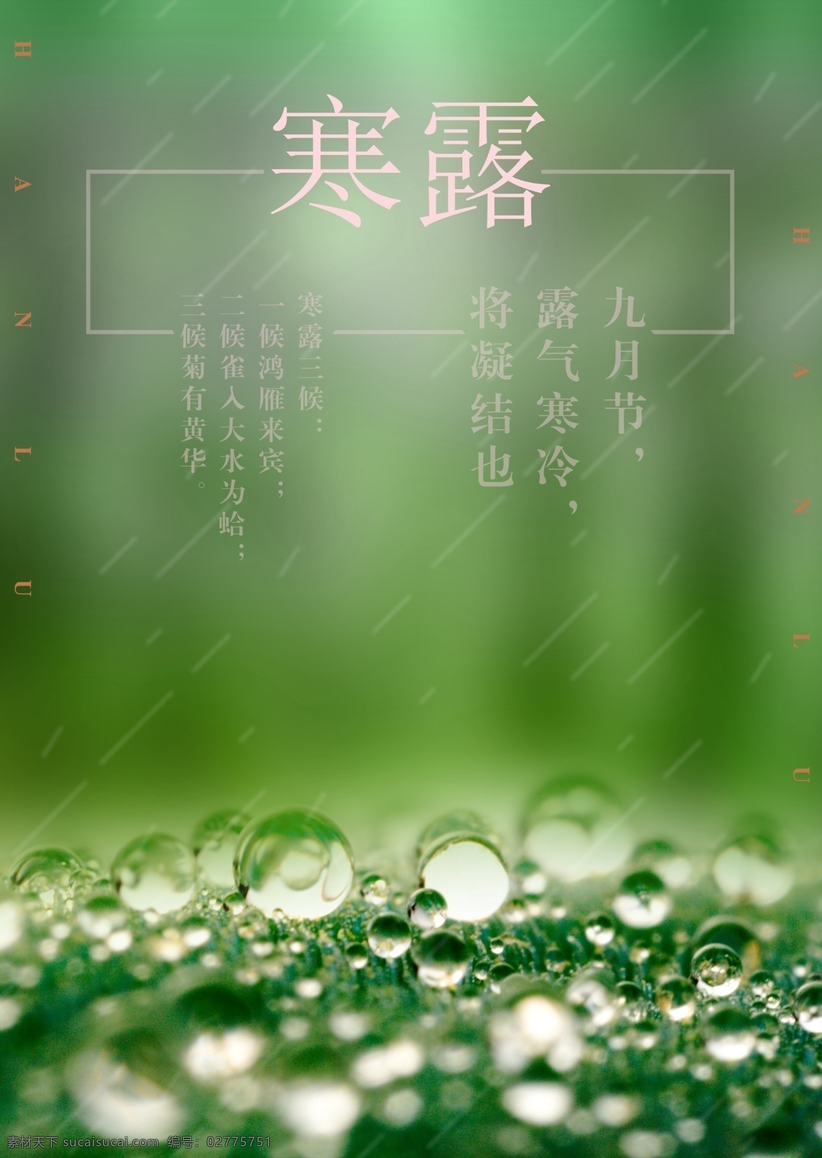 寒露节气海报 寒露 24气节 露水 绿色