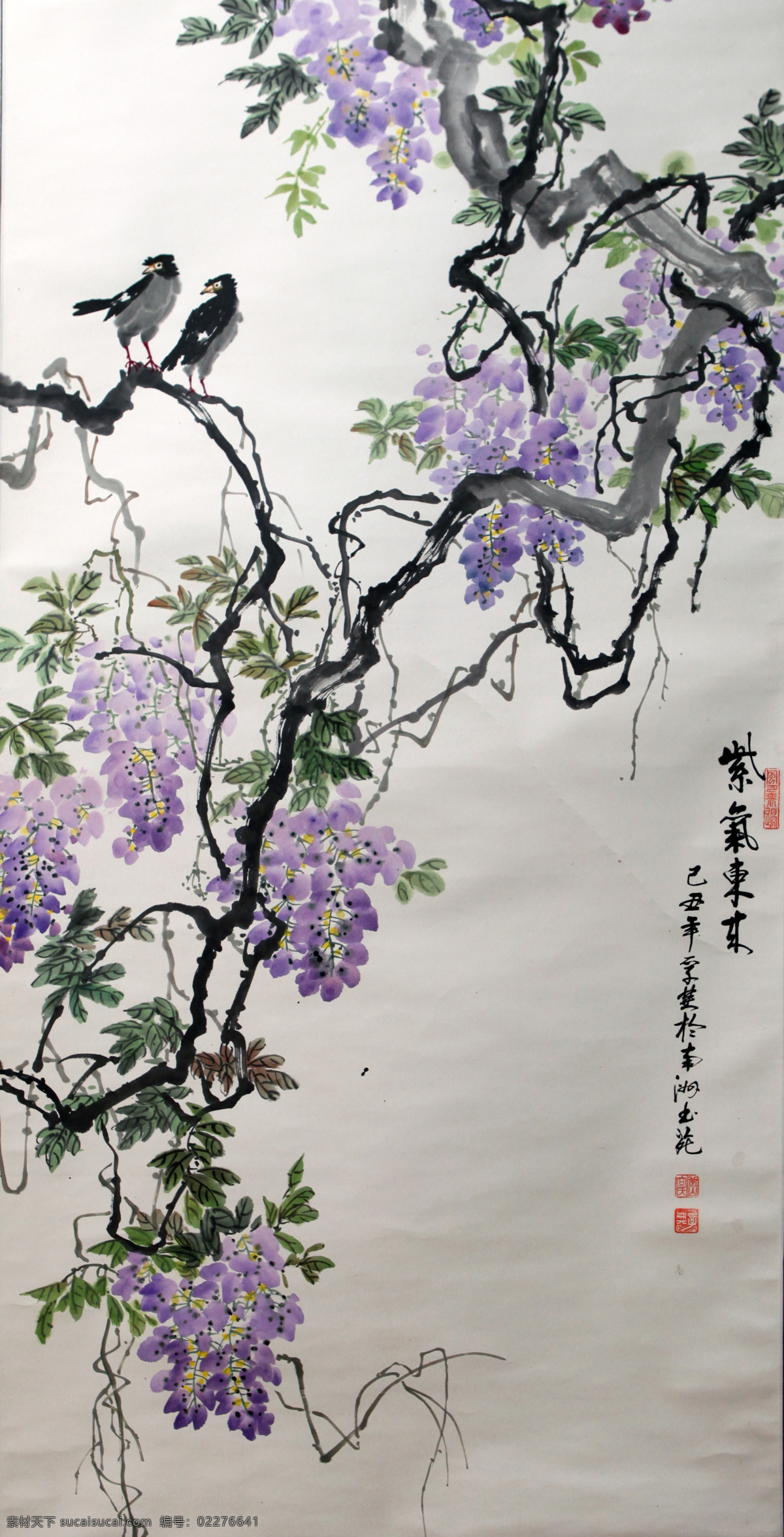 紫气东来 国画 绘画艺术 段老师作品 紫藤花 花草 花鸟图 绘画书法 文化艺术