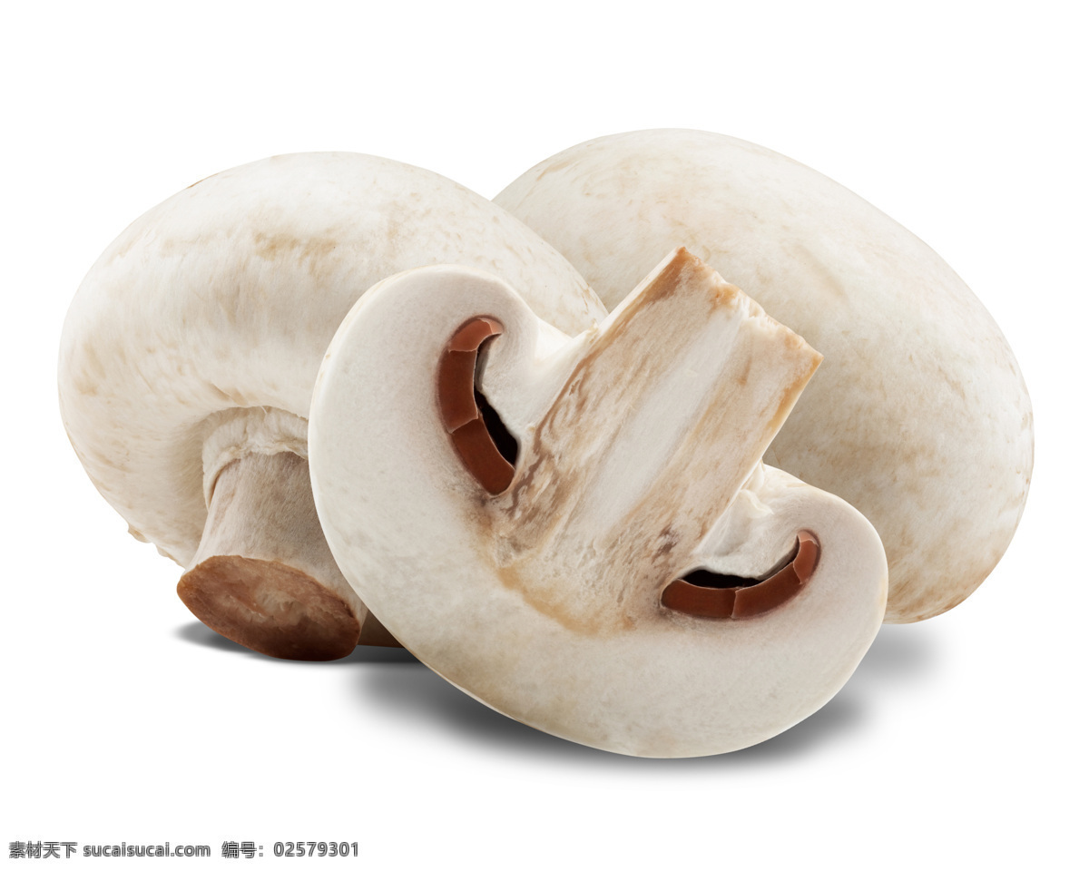 蘑菇图片素材 蘑菇 蔬菜 新鲜的蘑菇 绿叶 菜叶 菌类食物 水果蔬菜 餐饮美食 其他生物 生物世界