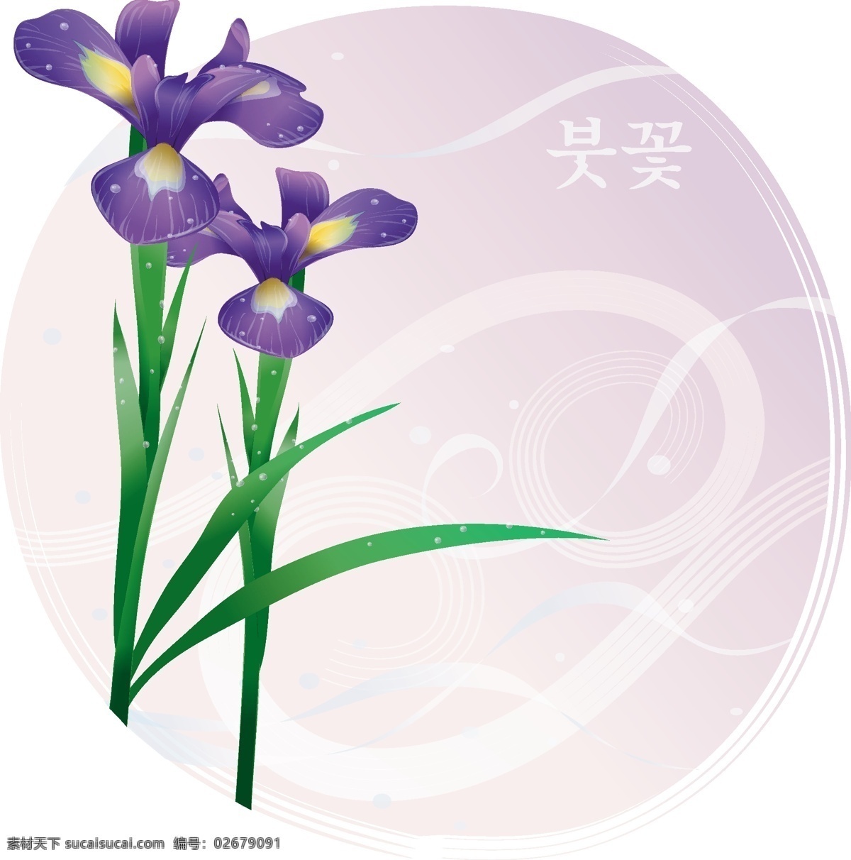 向量 亮 叶 鸢尾 花朵 紫色花朵 韓國插圖 向量植物 矢量图 花纹花边