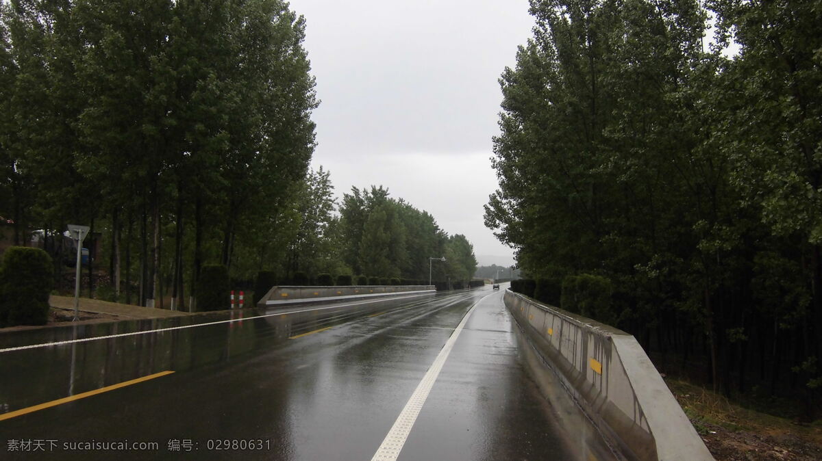 安静 春季 清爽 树林 自然风景 自然景观 雨 中 公路 雨中公路 小雨 山东 省道 线