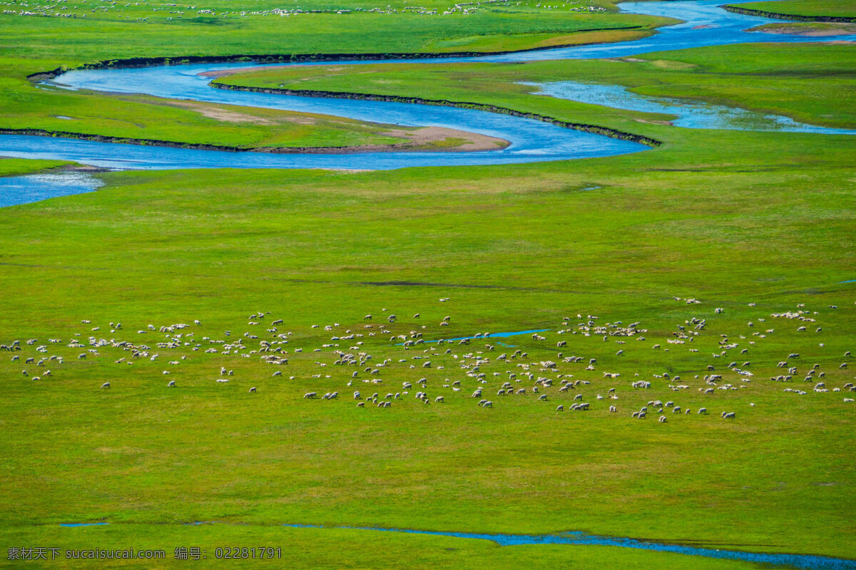 呼伦贝尔 草原 绿色 河流 环保 羊群 自然景观 田园风光