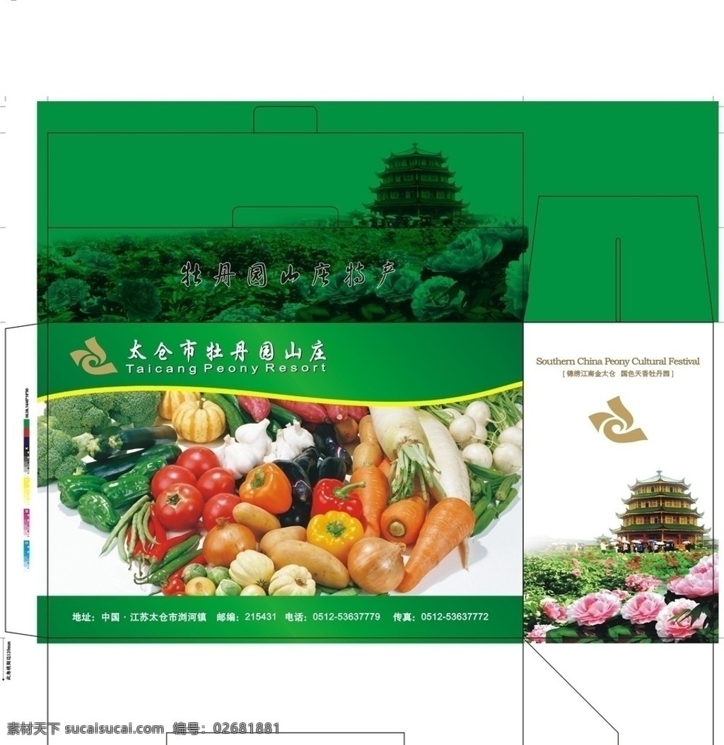 蔬菜包装 蔬菜包装盒 包装设计 矢量