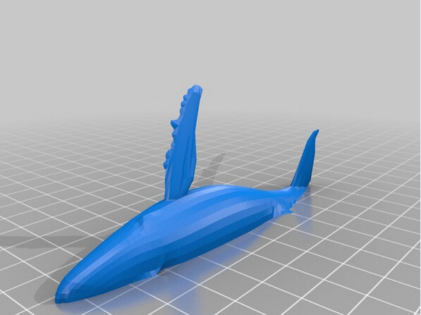 座 头 鲸 3d素材 模型设计 座头鲸 3d打印模型 动植物模型