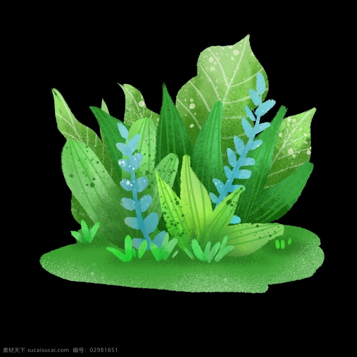 夏季 绿色 水彩 植物 免 抠 图 季节 绿色水彩植物 夏季植物 夏季海报装饰 手绘装饰植物
