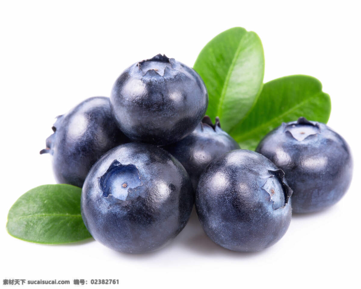 高清 绿叶 蓝莓 水果 新鲜 生物世界