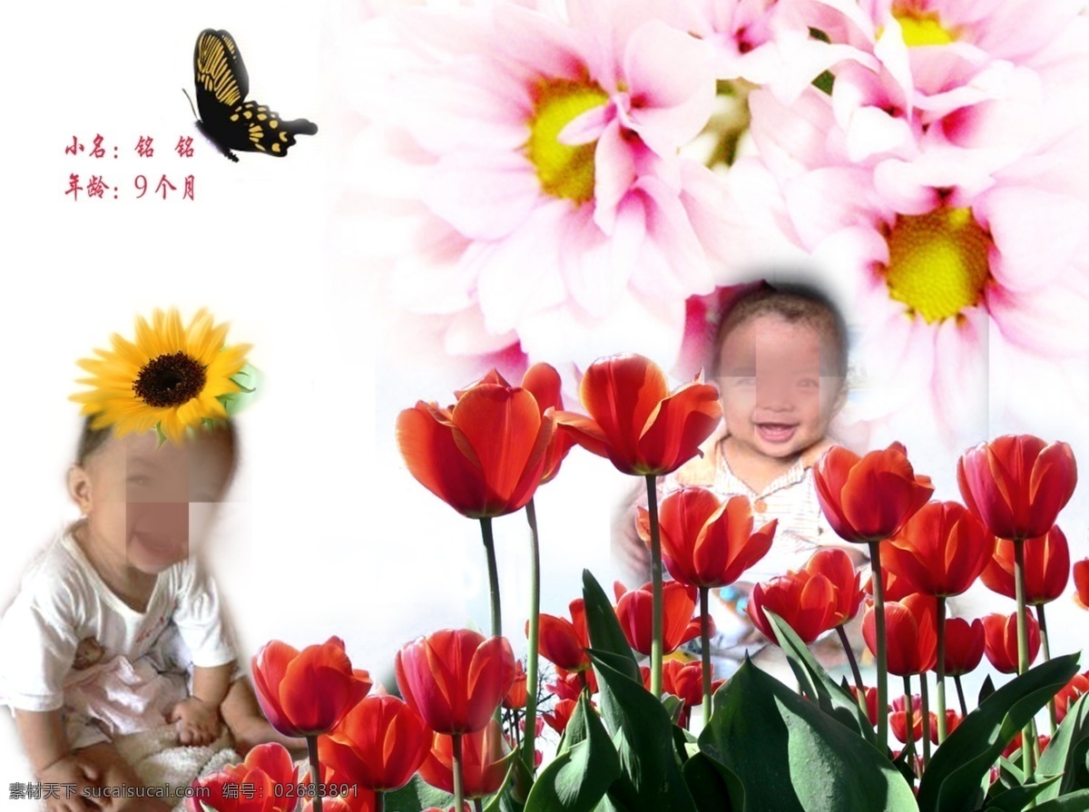 儿童 数码 相片 模版 可爱宝宝 模版设计 相册 双胞胎 飞舞的蝴蝶 漂亮的鲜花 勾出的鲜花 勾出的蝴蝶 数码相片模版 psd源文件 婚纱 写真 模板