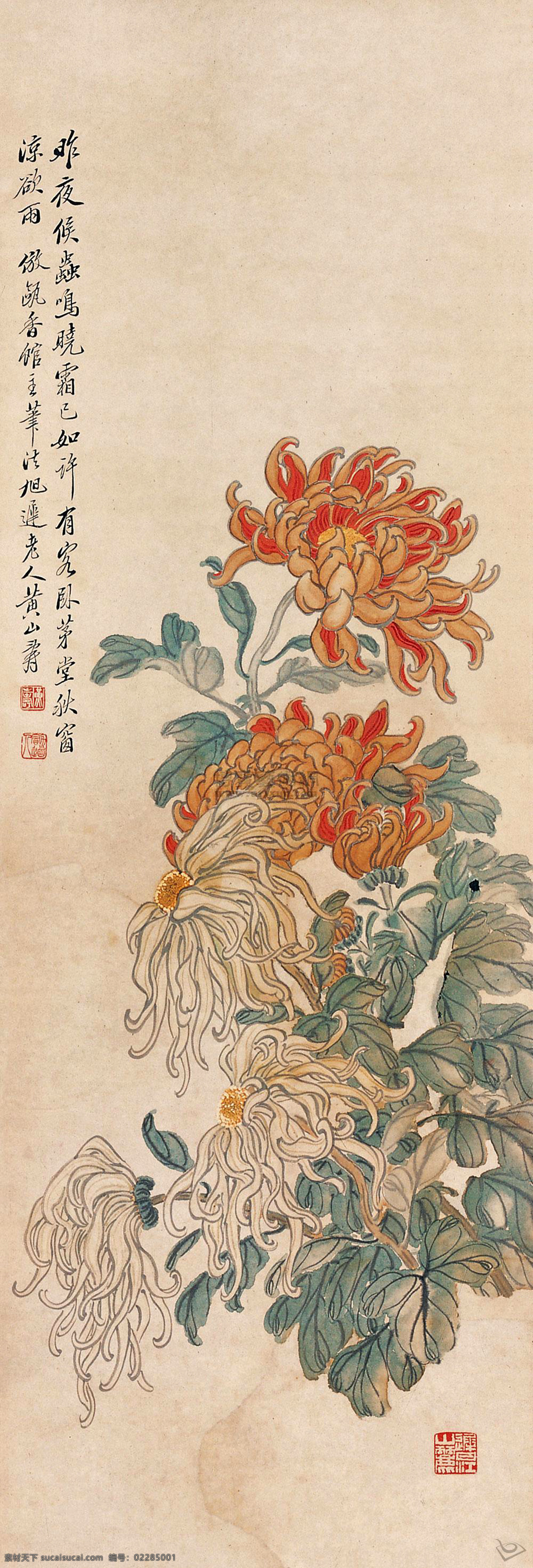 菊花 绿叶 古画 国画 黄山寿 工笔 古典 古代 印章 绘画 书法 高清 大图 艺术 传统文化 名家工笔花鸟 绘画书法 文化艺术