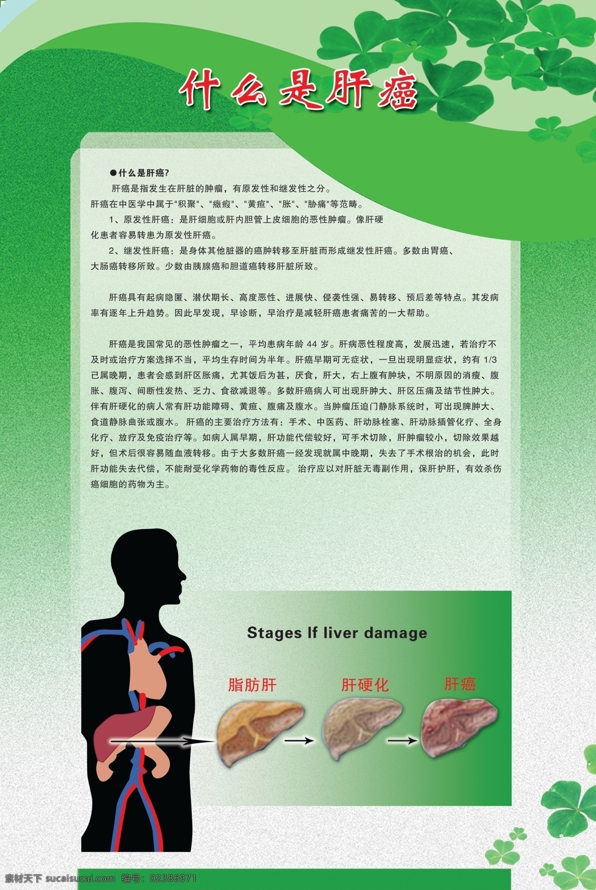 肝癌展板 什么是肝癌 脂肪肝 肝硬化 肝癌 人体内脏 展板模板 绿色模板 源文件 广告设计模板
