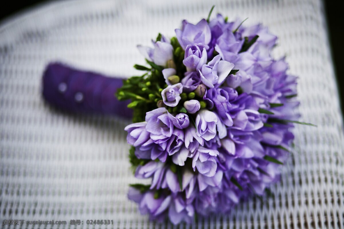 婚姻 紫色的花朵 束鲜花 花朵 生物世界 花草