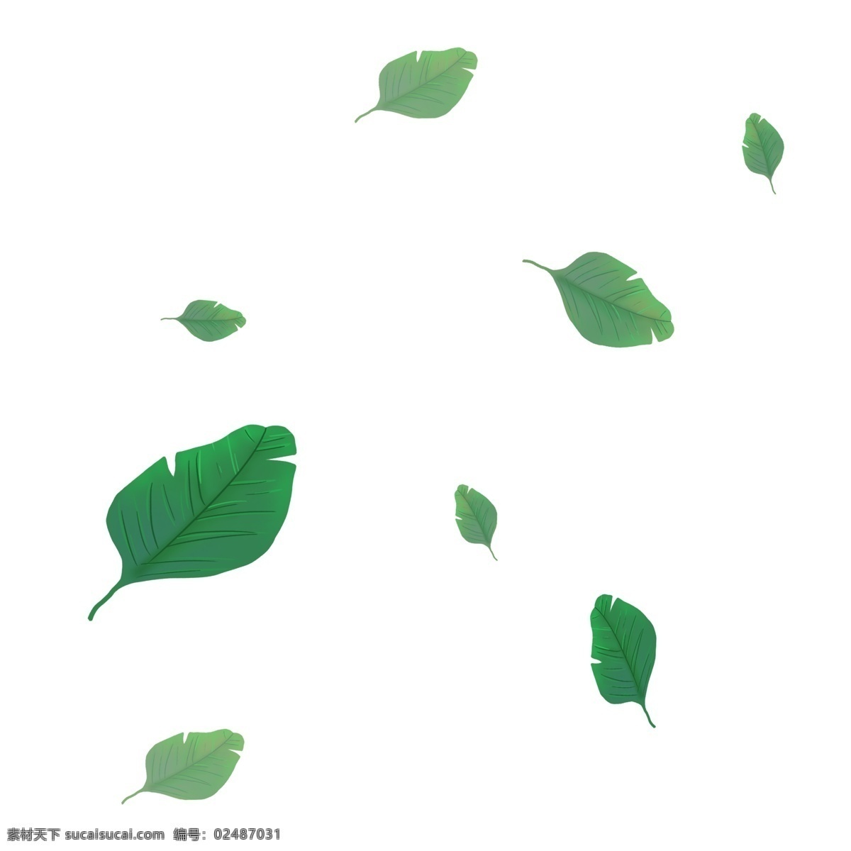 漂亮 树叶 装饰 插画 漂亮的树叶 绿色的树叶 创意树叶 漂浮的树叶 植物树叶