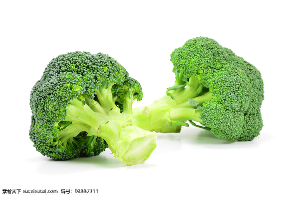 西蓝花 西兰花 菜花 椰菜 新鲜蔬菜 美食 蔬菜 绿色蔬菜 有机食物 青菜 生物世界