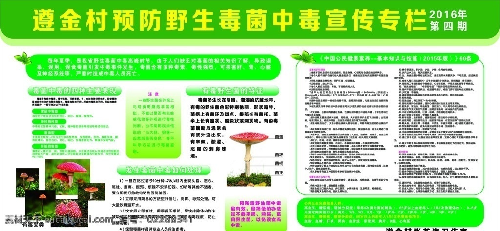 野生 毒菌 宣传 专栏 医疗 卫生 展板 医疗卫生 生活百科 学习用品