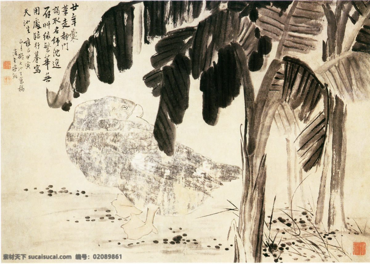 蕉鹅图 花鸟画 中国 古画 中国古画 设计素材 花鸟名画 古典藏画 书画美术 白色