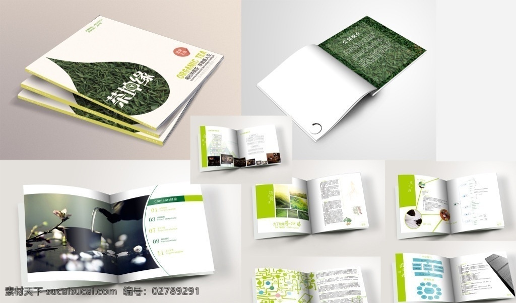 简约 项目 介绍 画册 茶 健康 绿色 简约画册 时尚画册 项目介绍 企业画册