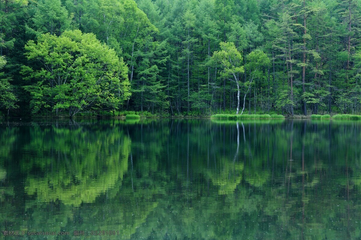 美景 画 倒影 高清摄影图库 湖水 旅游摄影 绿色 清澈 森林 树木 四季 四季风景 自然 自然风景 风景 生活 旅游餐饮