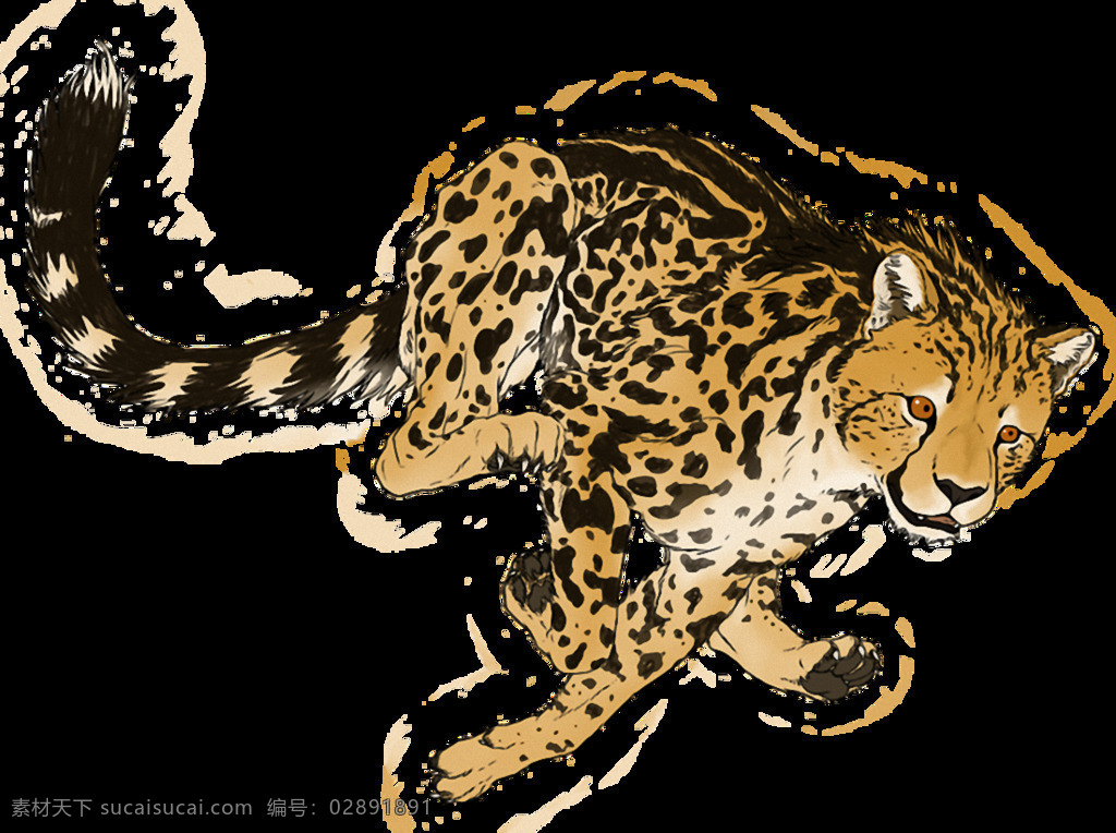 手绘 奔跑 豹子 免 抠 透明 奔跑的小豹子 奔跑的金钱豹 奔跑的美洲豹 高清 豹子广告图片 豹子海报图 豹子图