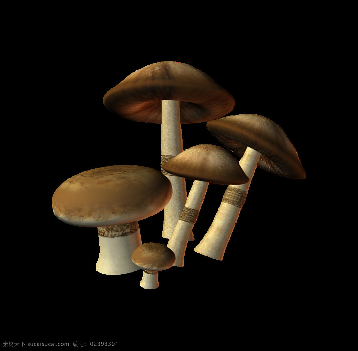 蘑菇 元素 野生蘑菇 菌类 实物 小蘑菇