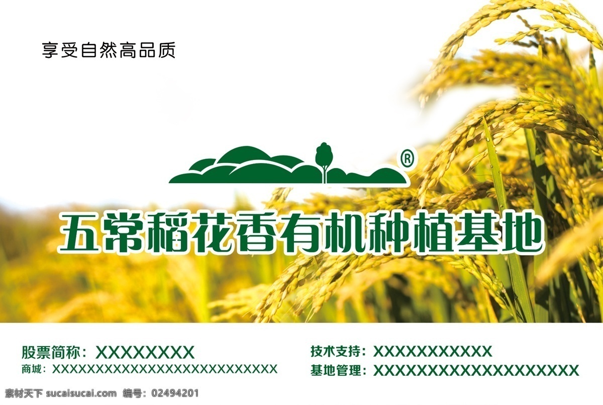 水稻基地牌 水稻 基地牌 稻子 稻穗 稻田 基地 水稻基地 牌 广告牌 有机种植 种植基地 五常 稻花香 绿色 金色