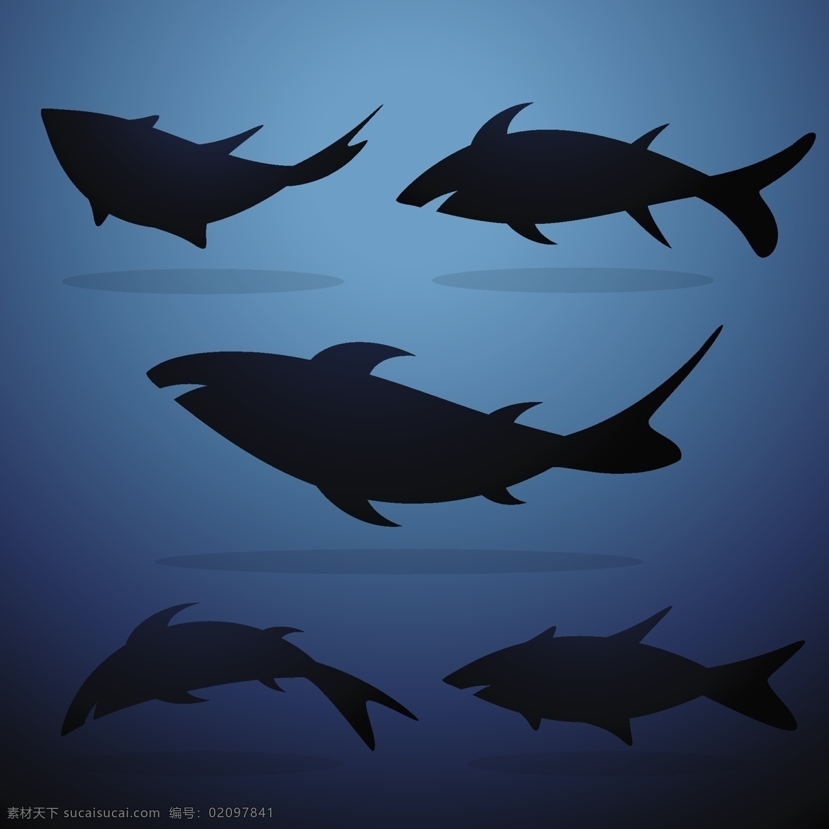鲨鱼 剪 影集 矢量 海 危险 潜水 鱼类 野生动物 水 动物 剪影 轮廓 形状 背景壁纸