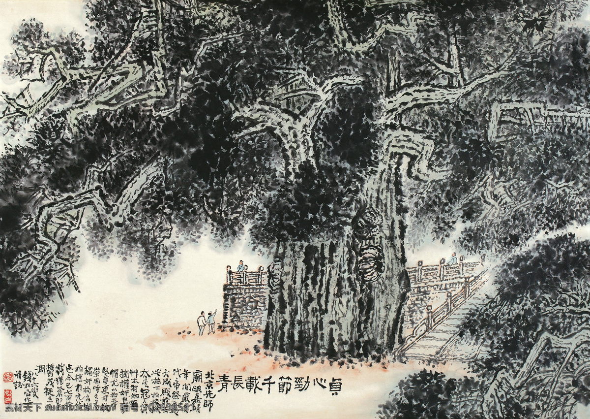 贞 心劲 节 千 载 长青 钱松岩 国画 松树 苍松 山水 山水画 写意 水墨画 中国画 绘画书法 文化艺术