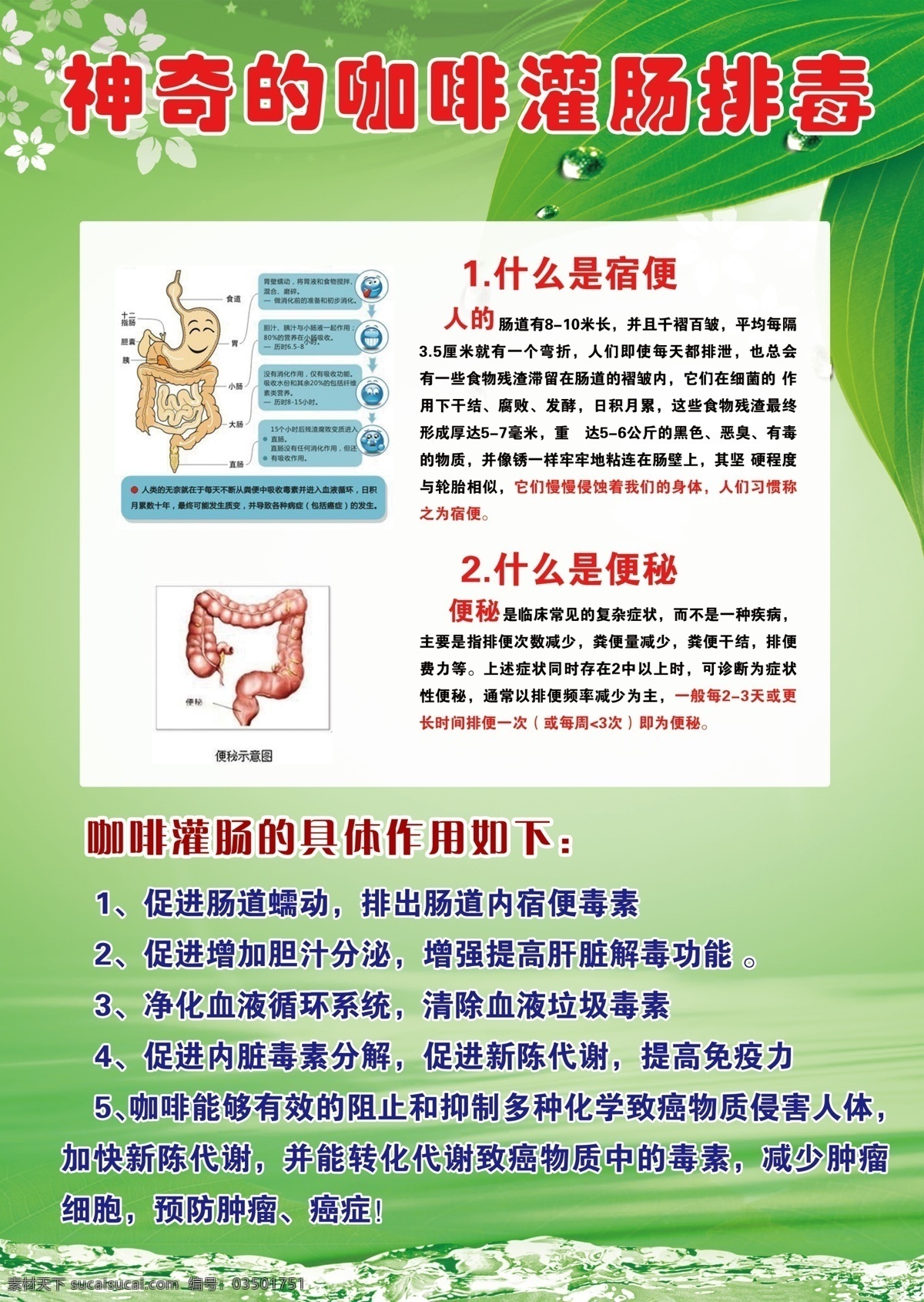 灌肠疗法 神奇处方 咖啡 便秘 宿便 hhh制造