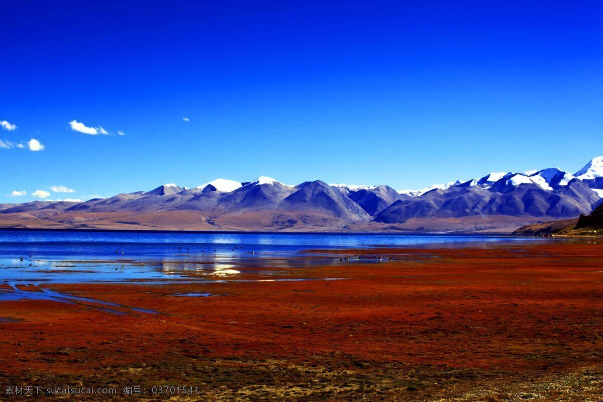 西藏自然风景 玛旁雍错 西藏景色风光 西藏 西藏景点 西藏风光 自然风景 旅游摄影
