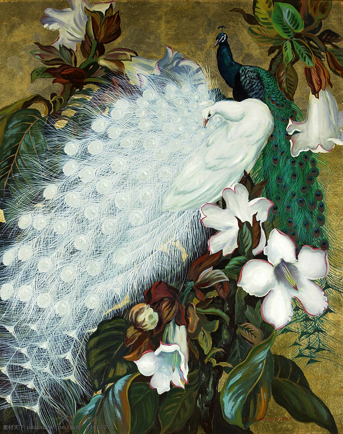 美式 白色 孔雀 装饰画 白色孔雀 复古 花朵 中式花鸟
