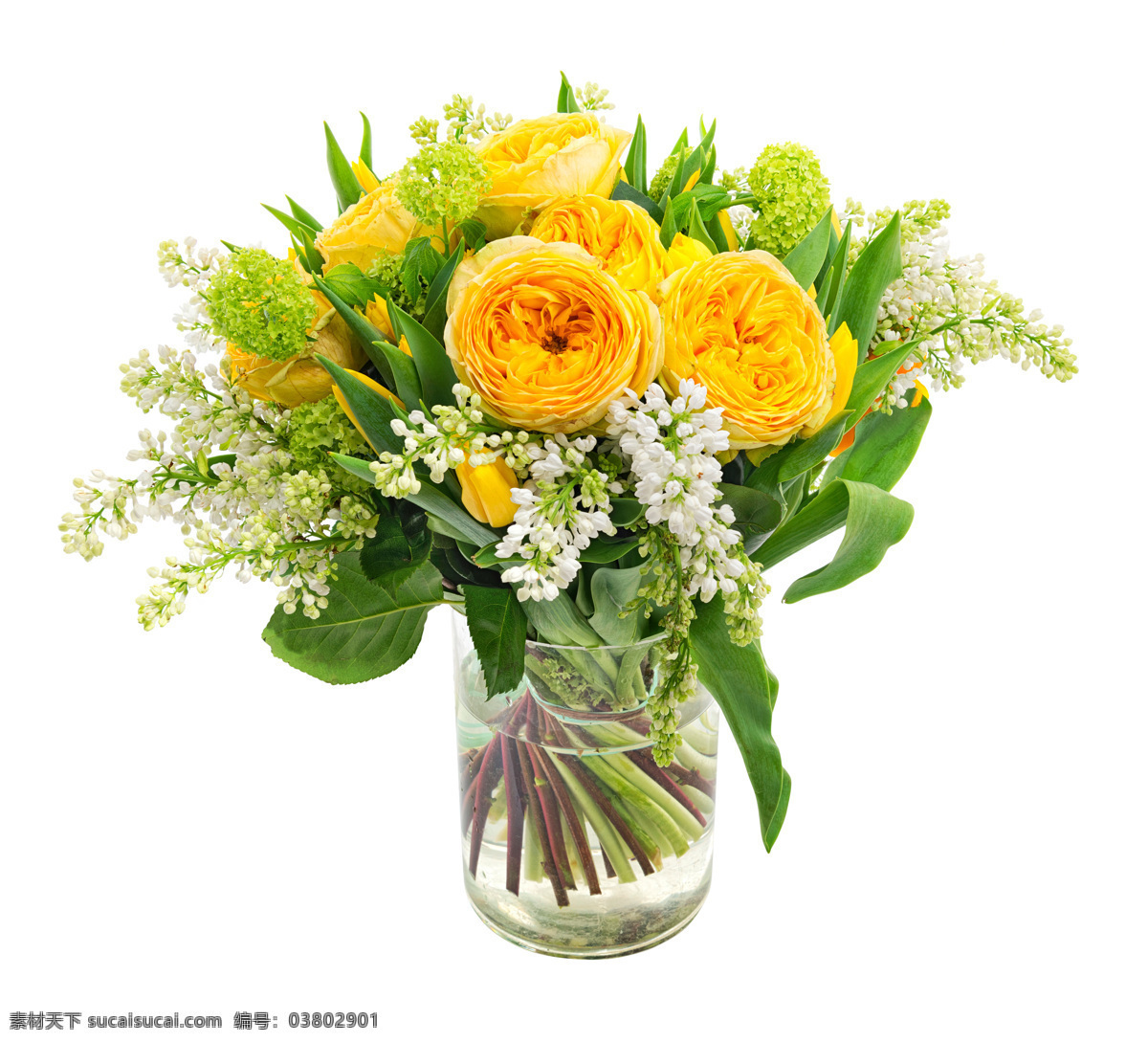 好看 黄色 插花 植物 花朵 花卉 鲜花 花瓶