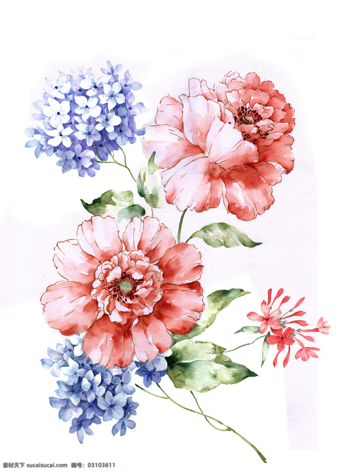 花卉 绘画书法 满天星 玫瑰 手绘 手绘花卉 水彩 设计素材 模板下载 文化艺术