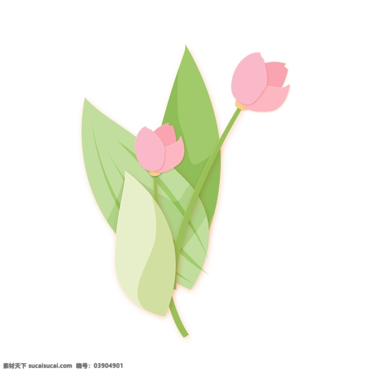 水彩 手绘 花卉 花朵 植物 鲜花 绿色 叶子 png元素 装饰图案 免扣素材