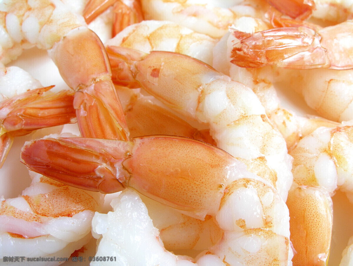 餐饮美食 传统美食 海产 海鲜 海洋生物 海鱼 龙虾 高清海鲜 小虾 虾肉 小鱼 鱼类 生物世界 水产 西餐美食 食物原料 jp