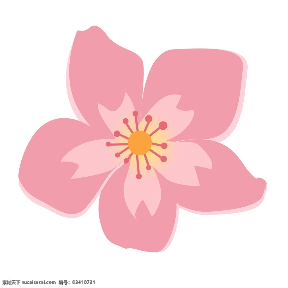 矢量图 粉红色 花朵 樱花 桃花 春天 装饰品 求婚