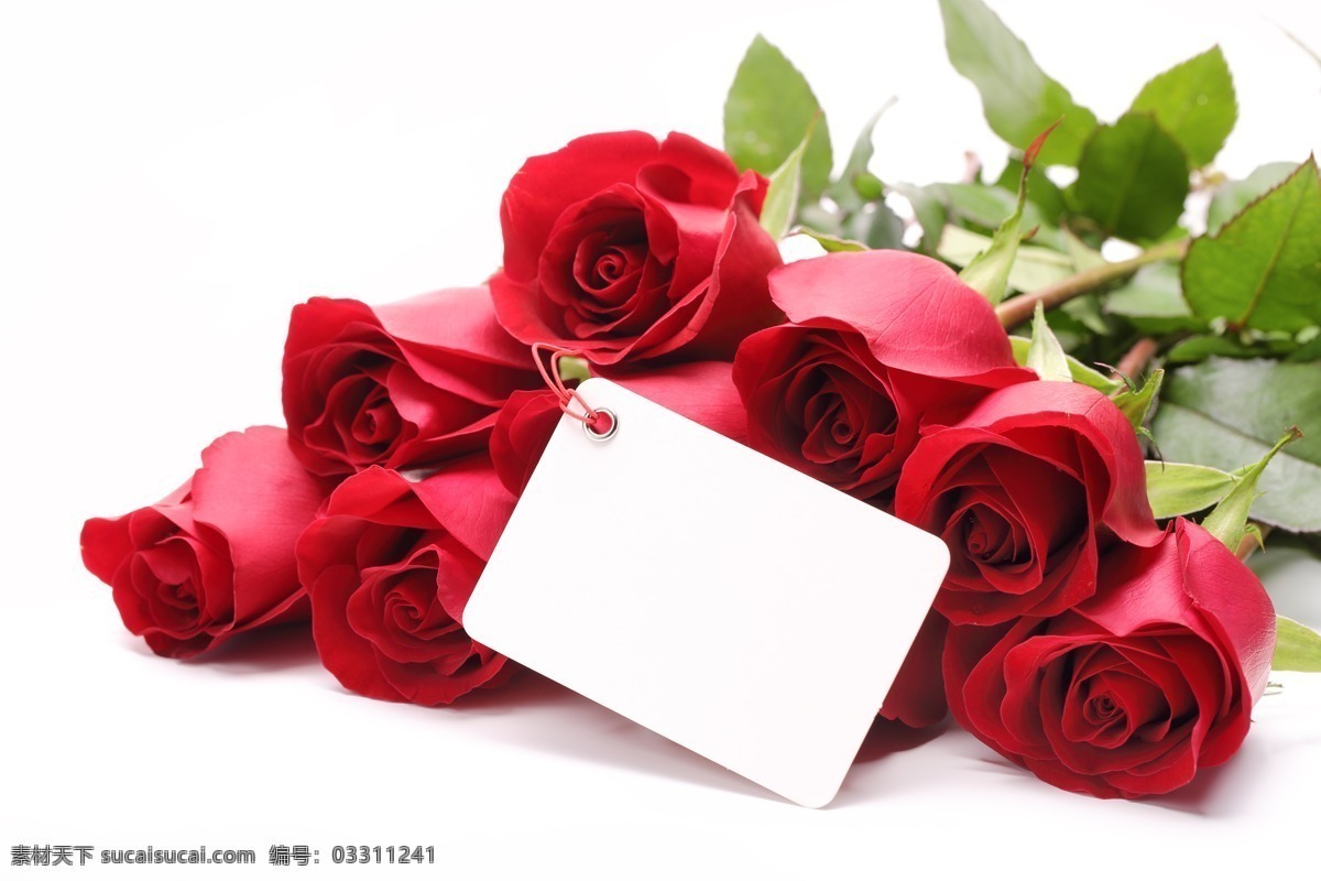 鲜花 花朵 红玫瑰 红色 花束 礼物 浪漫 情人节 卡片 贺卡 情书 花草 生物世界
