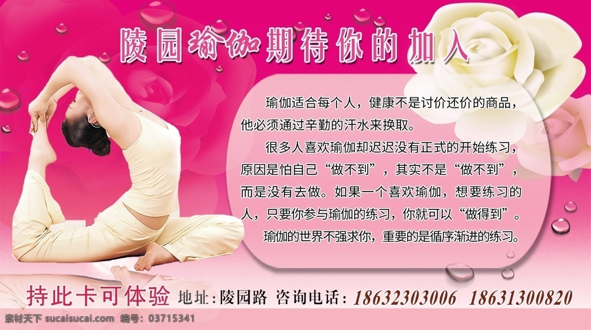 瑜珈 美体 宣传 粉色 彩页 生活百科 休闲娱乐