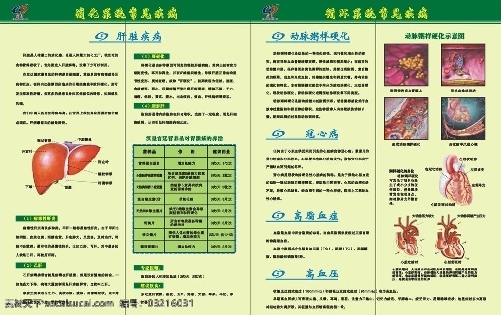 肝脏 广告 包装 失量 保健品 画册 人体 动脉粥样硬化 冠心病 高脂血症 高血压 画册设计 矢量