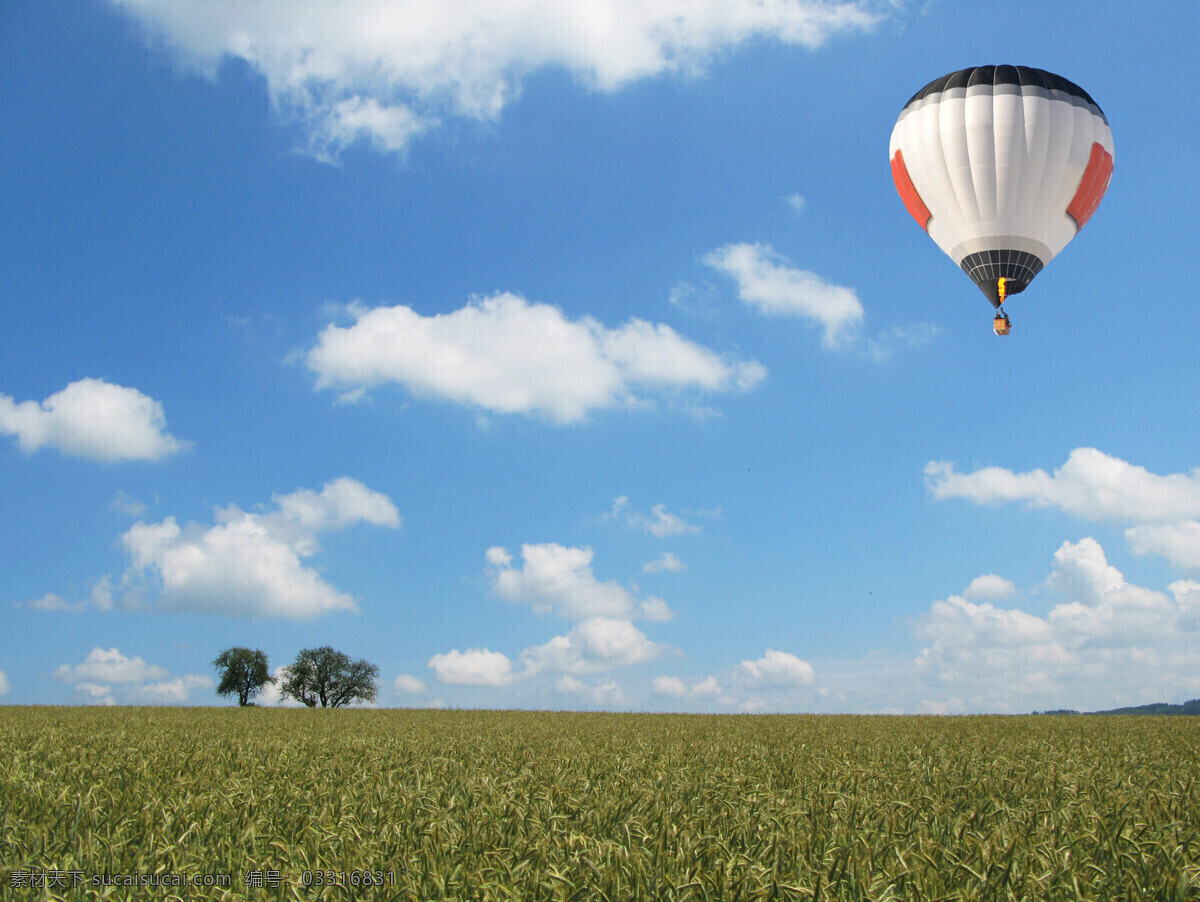 天空 中 飞翔 热气球 蓝天 白云 草地 麦穗 树 飞翔的热气球 其他类别 生活百科 蓝色