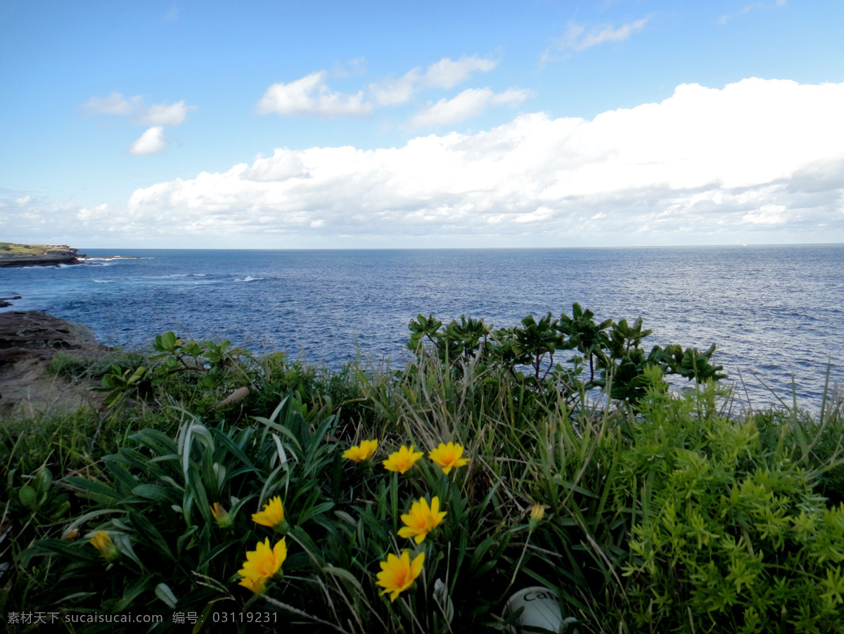 白云 碧海 大海 海边 海浪 海水 蓝天 无垠 大海无垠 悉尼 coogee 海滩 野花 摄影图库 悉尼库基海滩 自然风景 自然景观 psd源文件