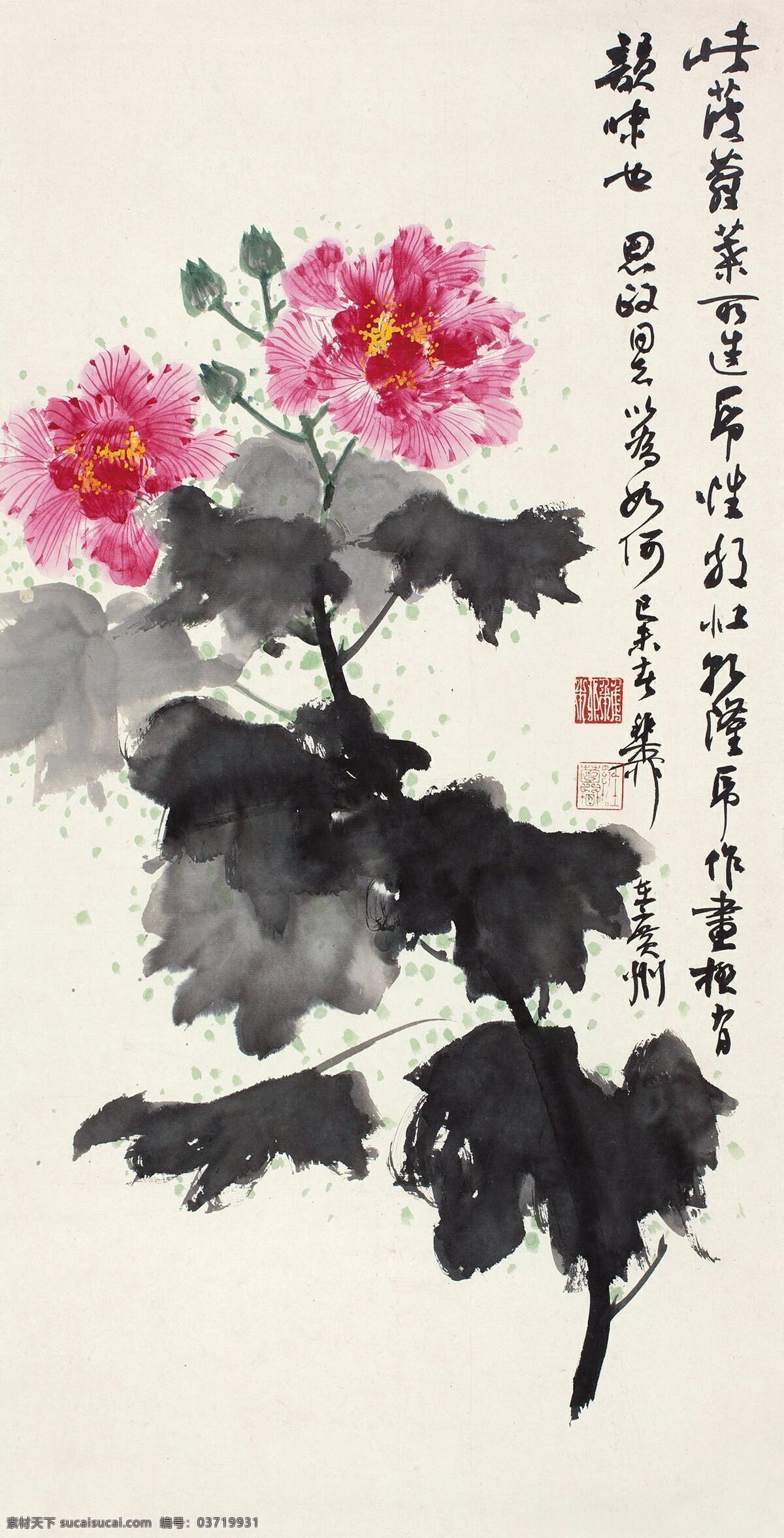 芙蓉花开 谢稚柳作品 静物鲜花 现代画家 春夏交替 中国古代画 中国古画 文化艺术 绘画书法