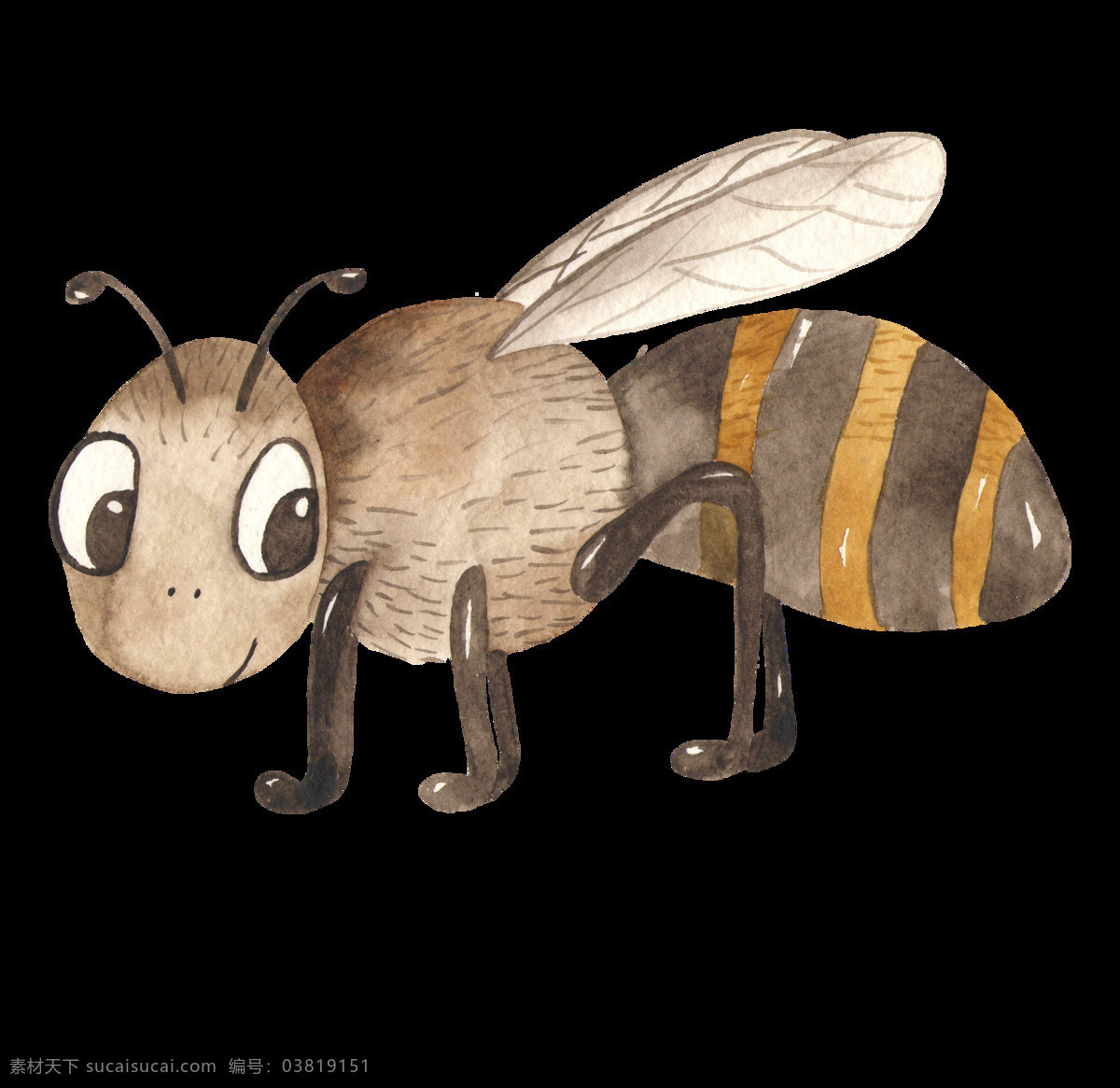 水彩 昆虫 小 蜜蜂 小蜜蜂 水彩插画 装饰图案 卡通画