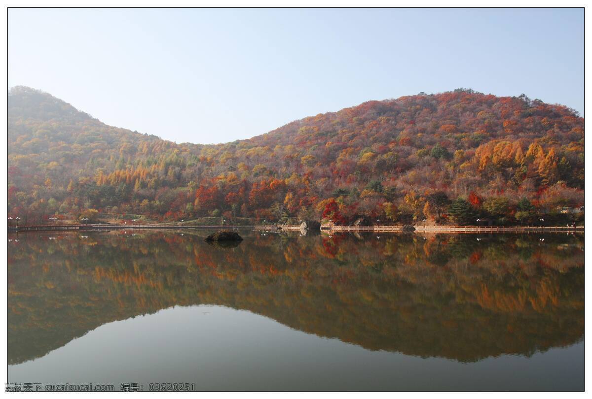 长江 枫叶 三峡 山水风景 游艇 自然风光 自然风景 三峡风光 自然 风光图片 自然景观 风景 生活 旅游餐饮